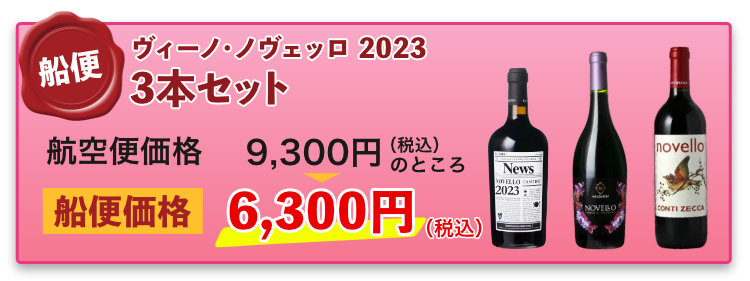 船便！ヴィーノ・ノヴェッロ 2023 3本セット