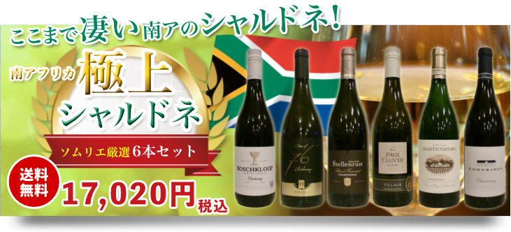 南アフリカワイン専門店 ソムリエ厳選シャルドネ6本セット