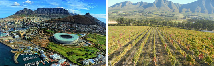 南アフリカワインの実力６本セット