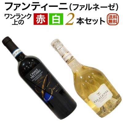 2本セット | ワイン通販｜ワインブティックヴァンヴァン本店