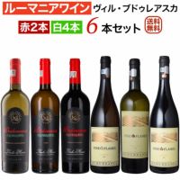 ルーマニアワイン｜ルーマニアワイン・ヴィル・ブドゥレアスカ6