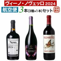 航空便！ヴィーノ・ノヴェッロ 2023 3本セット10月30日解禁！イタリア