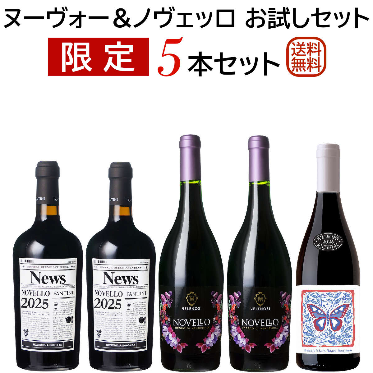 ボジョレー・ヌーヴォー2025｜ワイン通販ヴァンヴァン本店